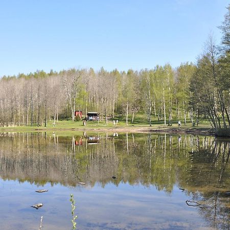 Furusjoens Cottage Ånimskog Dış mekan fotoğraf